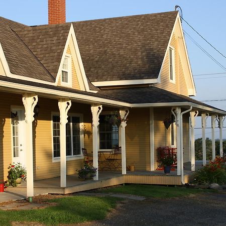 Gite Au Blanc Marronnier Racine Exterior foto